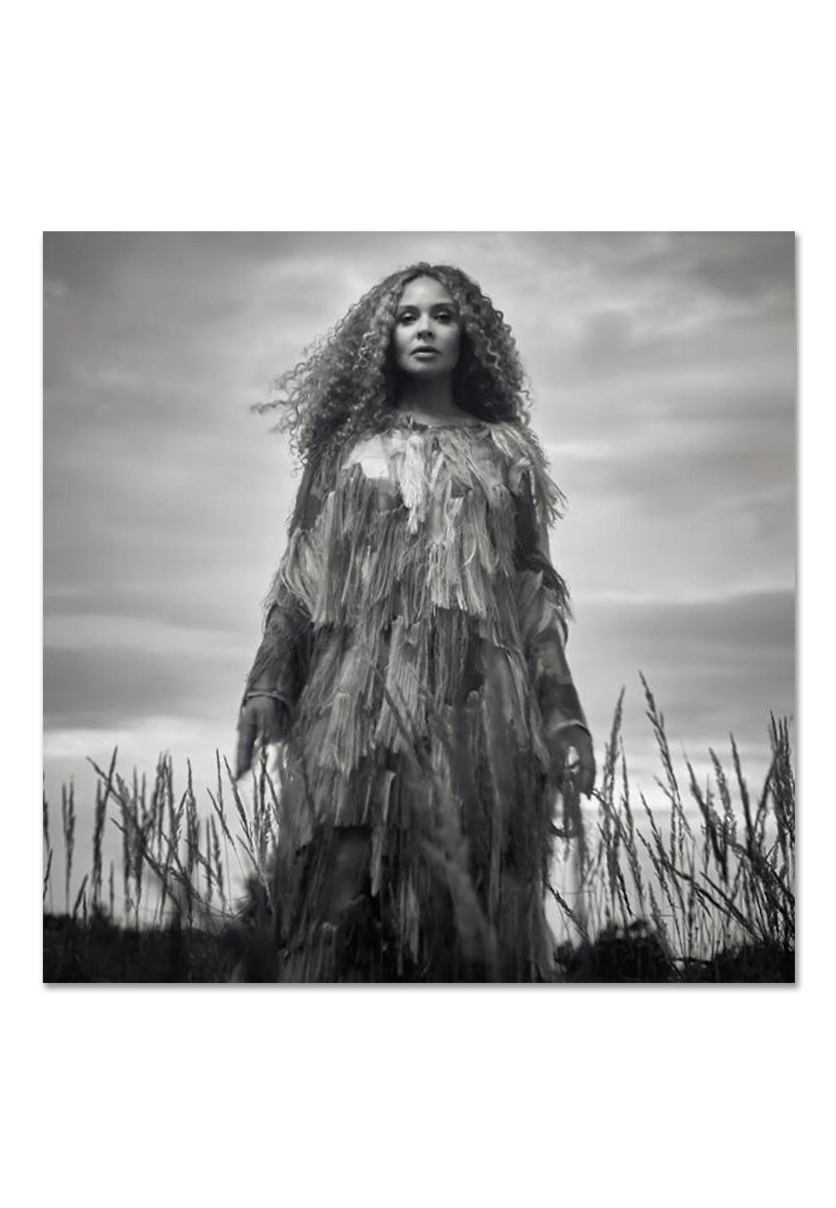 Joy Denalane - Willpower - 2 Vinyl | Neutral-Image